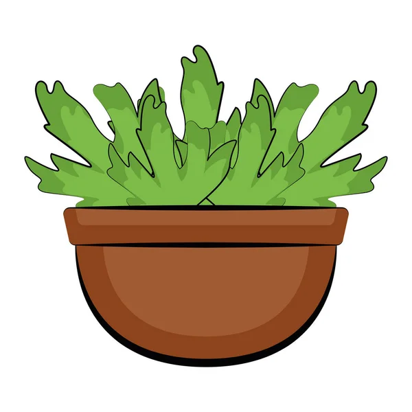 Plant in een pot — Stockvector