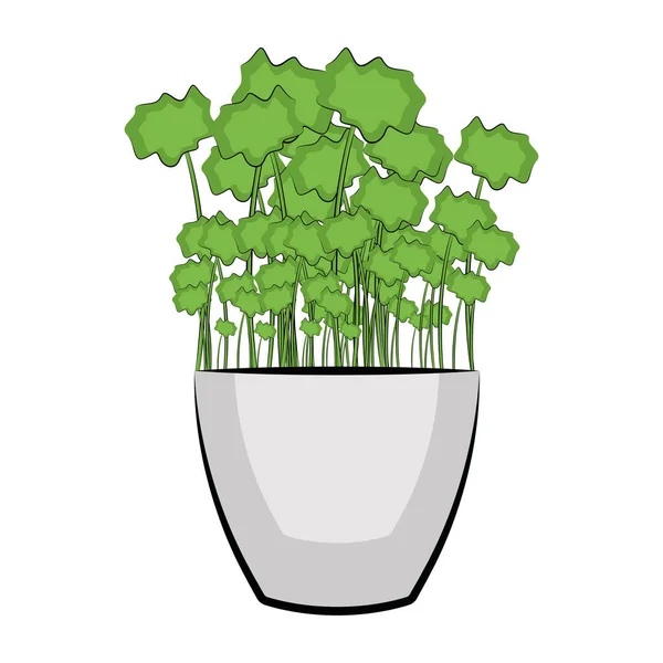 Plant in een pot — Stockvector