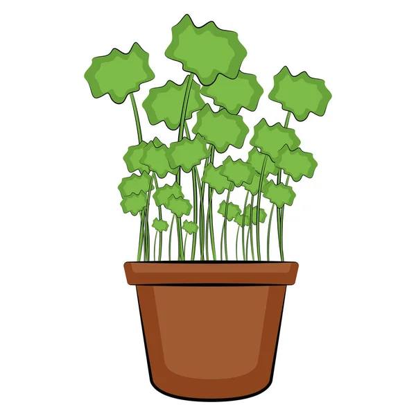 Plant in een pot — Stockvector