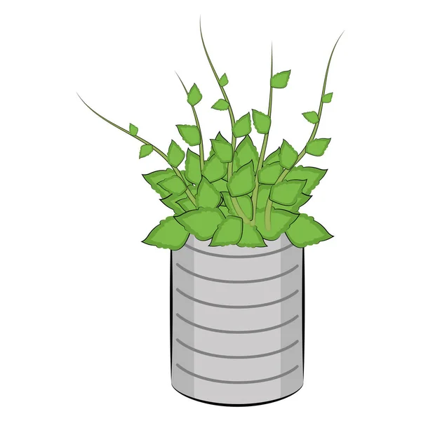 Plante dans un pot — Image vectorielle