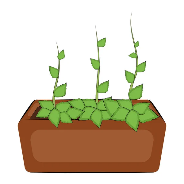 Plant in een pot — Stockvector