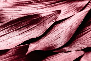 Mercan yapraklarının yaratıcı düzeni. Doğa arka planı.