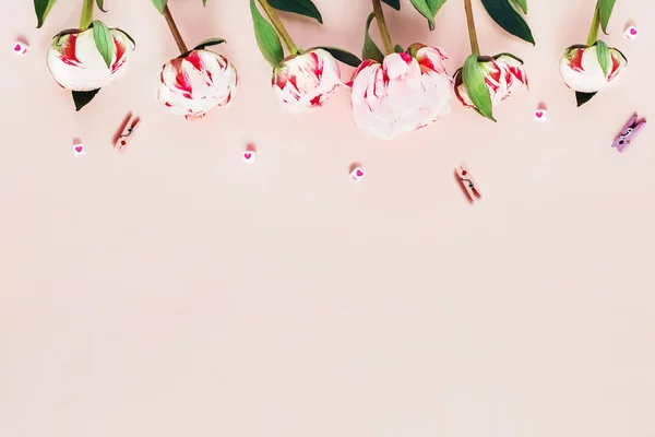 Tarjeta de felicitación con peonías y corazones rosados . — Foto de Stock