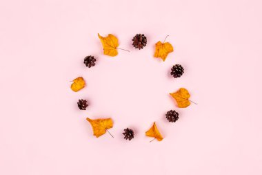 Sonbahar zarif kompozisyonu.