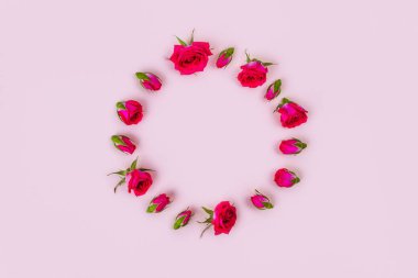 Pembe arka planda güzel güller, üst görünüm.