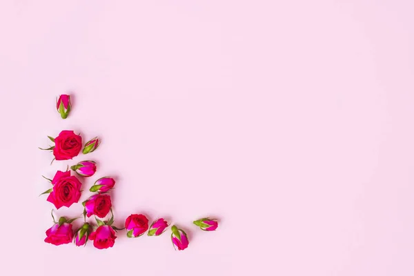 Krásné růže na růžovém pozadí, pohled shora. — Stock fotografie