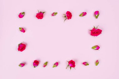 Pembe arka planda güzel güller, üst görünüm.