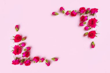 Pembe arka planda güzel güller, üst görünüm.