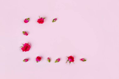 Pembe arka planda güzel güller, üst görünüm.