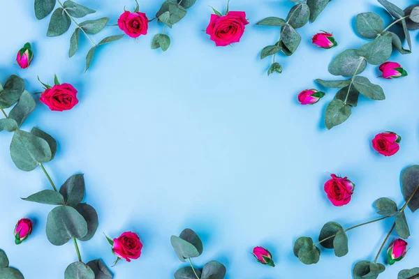 Mooie takjes van eucalyptus en rozen op blauwe achtergrond, bovenaanzicht. — Stockfoto