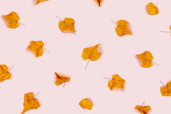 Höstens Sammansättning Rosa Bakgrund Med Lönnlöv Platt Ligg Ovanifrån — Stockfoto