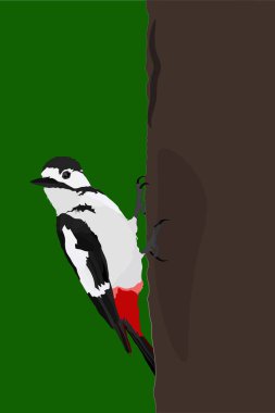 Woodpecker. Green background. Vector image. clipart