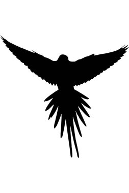 Vektör uçan kuş. Vektör papağan resmi