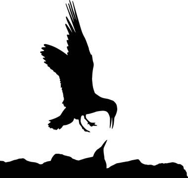 Uçan vektör kuşları. Anne kuş ve çocuk. Vektör kuş görüntüsü