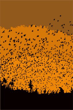 Uçan kuşlar. Gün batımı doğası. Vektör görüntüsü. Gün batımı renkleri arka plan.