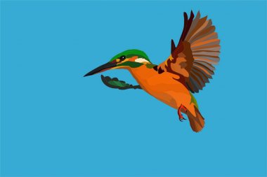 Uçan Kingfisher. Renkli kuş. Vektör görüntüsü. Mavi gökyüzü arka planı.