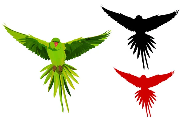 Niedlichen Vogel Papagei Fliegen Realistisches Vektorbild Vogel Alexandrinensittich Psittacula Eupatria — Stockvektor