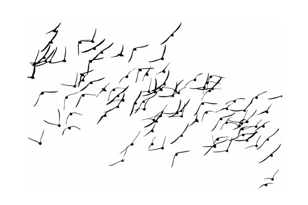Létající Ptáci Hejno Ptáků Vektorový Obraz Bílé Pozadí — Stockový vektor