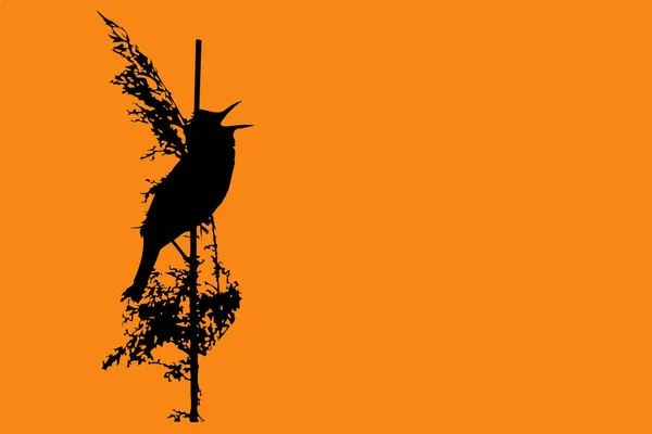 Gün batımı ve kuş. Kuş şarkı söylüyor. Vektör görüntüsü. Turuncu arka plan.