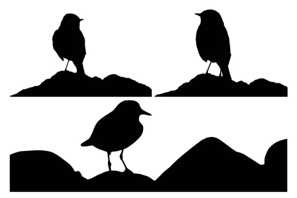 Симпатичная Птичка Камне Векторное Изображение Белый Фон — стоковый вектор