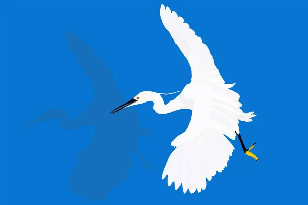 Uçan beyaz bir ala, heron. Vektör görüntüsü. Mavi arka plan.