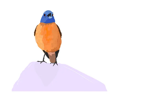 Lindo Pajarito Colorido Imagen Vectorial Zorzal Común Fondo Blanco — Archivo Imágenes Vectoriales