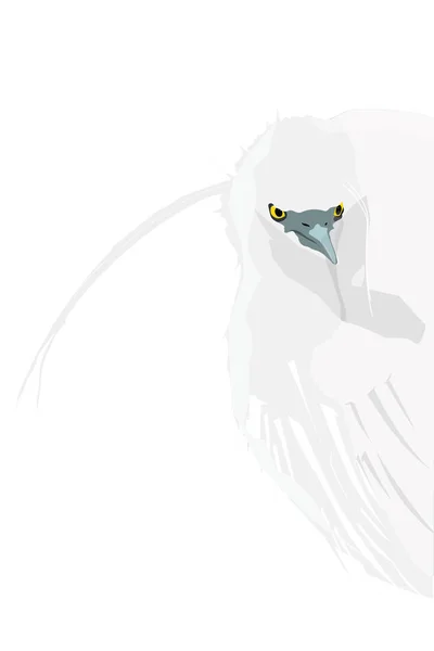 Векторная Птица Херон Векторное Изображение Белый Фон — стоковый вектор