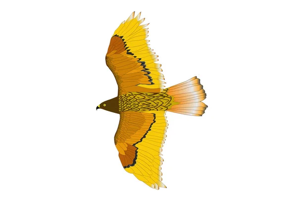Létající Barevný Vektor Divoký Ptačí Obrázek Bílé Pozadí — Stockový vektor