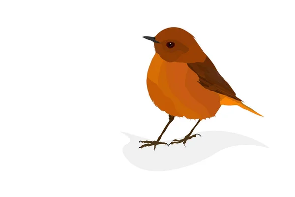 Niedlichen Bunten Vogel Orangefarbene Federn Vektorbild Weißer Hintergrund — Stockvektor