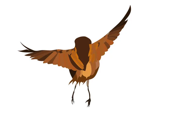 Vliegende Schattige Vogel Vector Afbeelding Witte Achtergrond — Stockvector