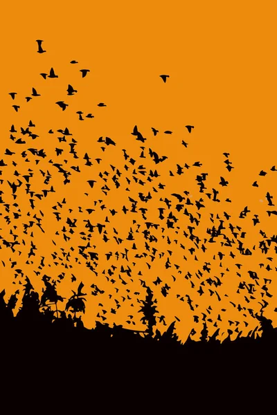 Latające Ptaki Zachód Słońca Przyrody Obraz Wektorowy Zachód Słońca Kolory — Wektor stockowy