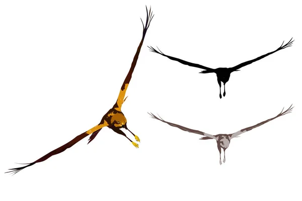 Fliegender Wildvogel Greifvogel Angriff Der Falken Realistischer Vektor Vogel Vektorbild — Stockvektor
