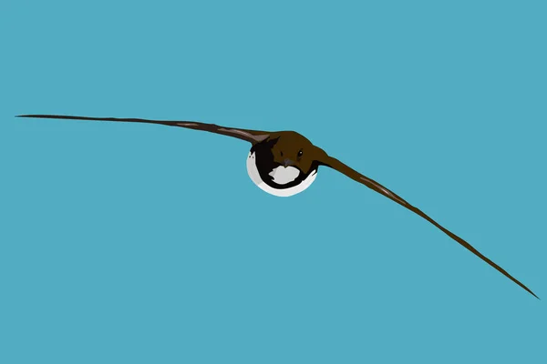 Flygande Fågel Vanliga Swift Vektorbild Blå Himmel Bakgrund — Stock vektor