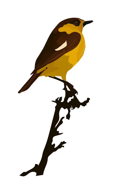 Niedlicher Vogel Vogel Auf Einem Ast Vektorbild — Stockvektor