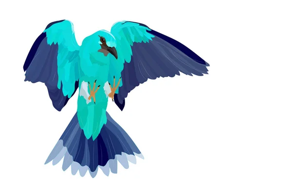 Niebieski Ptak Latający Lądowanie Ptaków Ptak Europejski Wałek Koracias Garrulus — Wektor stockowy