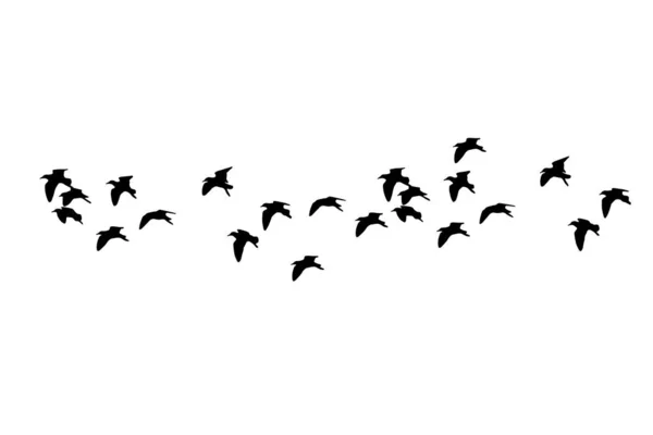 Burung Terbang Burung Abstrak Latar Belakang Putih Latar Belakang Alam - Stok Vektor