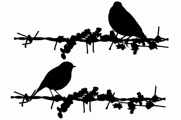 Колючий Дріт Птахи Векторні Зображення Білий Фон — стоковий вектор