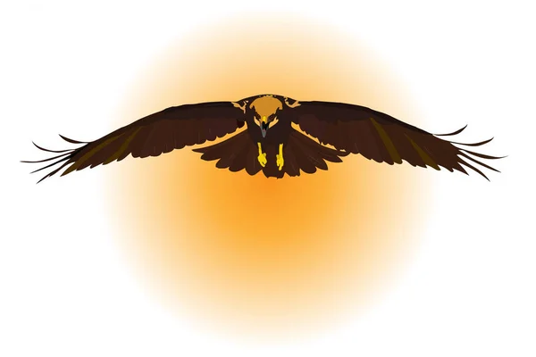 Ptačí Přistání Létající Divoký Pták Vektorový Obraz Bílé Oranžové Pozadí — Stockový vektor