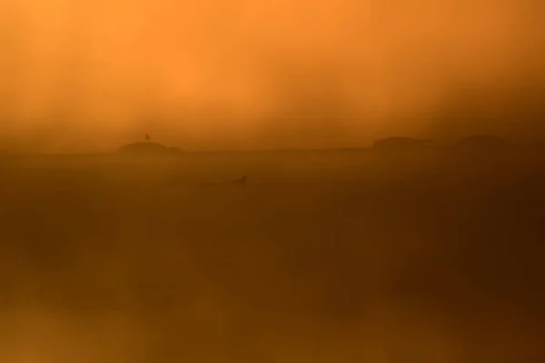 Λίμνη Του Ηλιοβασιλέματος Και Πουλιά Φυσικό Φόντο Ομίχλη Στη Λίμνη — Φωτογραφία Αρχείου