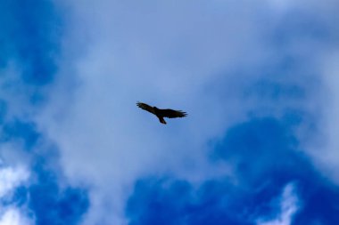 Mavi gökyüzü. Soyut doğa. Mavi gökyüzü arka planı.