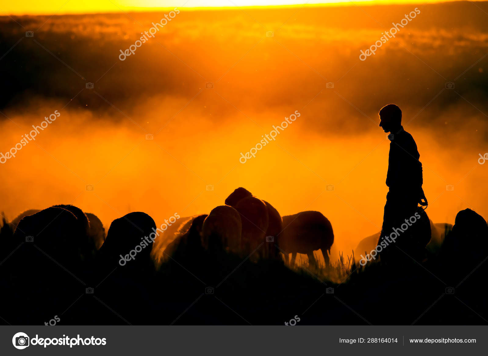 Next News Channel | 全面、快速、准确新闻报道, image size:1600x1167