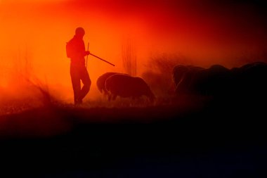 Gün batımı ve çoban. Kırmızı ve siyah doğa arka plan. 