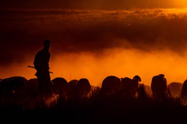 Gün batımı ve çoban. Kırmızı ve siyah doğa arka plan. 