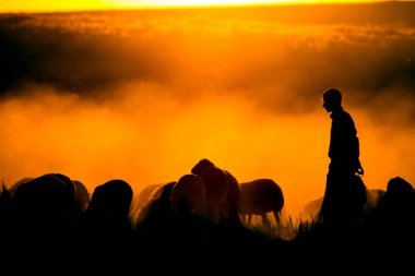 Gün batımı ve çoban. Kırmızı ve siyah doğa arka plan. 