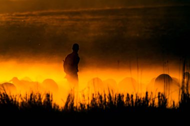 Gün batımı ve çoban. Kırmızı ve siyah doğa arka plan. 
