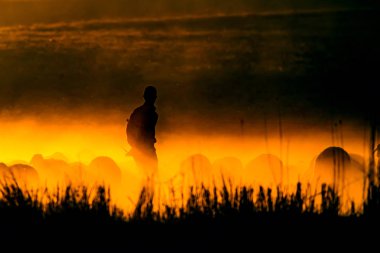 Gün batımı ve çoban. Kırmızı ve siyah doğa arka plan. 