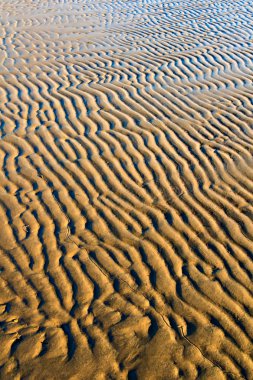 Dalga, kum ve deniz. Doğa deseni arka planı.