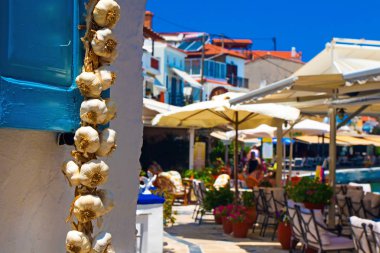 Samos Adası. Yunanistan. Doğa arka planı. 