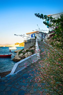 Samos Adası. Yunanistan. Doğa arka planı. 