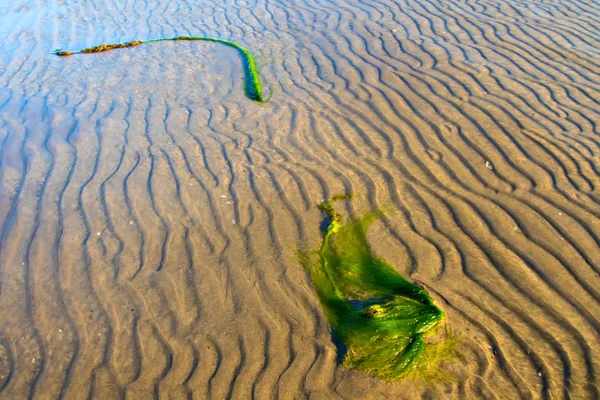 Vague Sable Mer Nature Modèle Fond — Photo